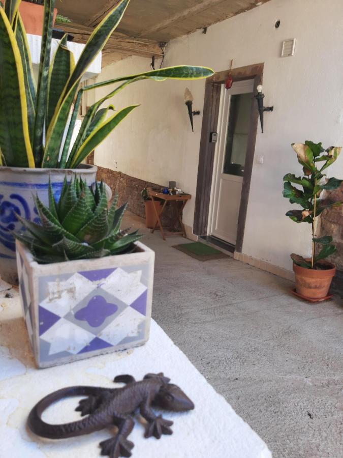 Studio Tout Confort 2 Personnes Au Coeur De L'Alsace Wolxheim Exteriér fotografie