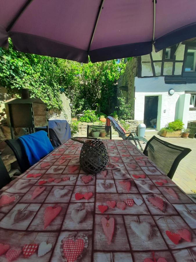 Studio Tout Confort 2 Personnes Au Coeur De L'Alsace Wolxheim Exteriér fotografie