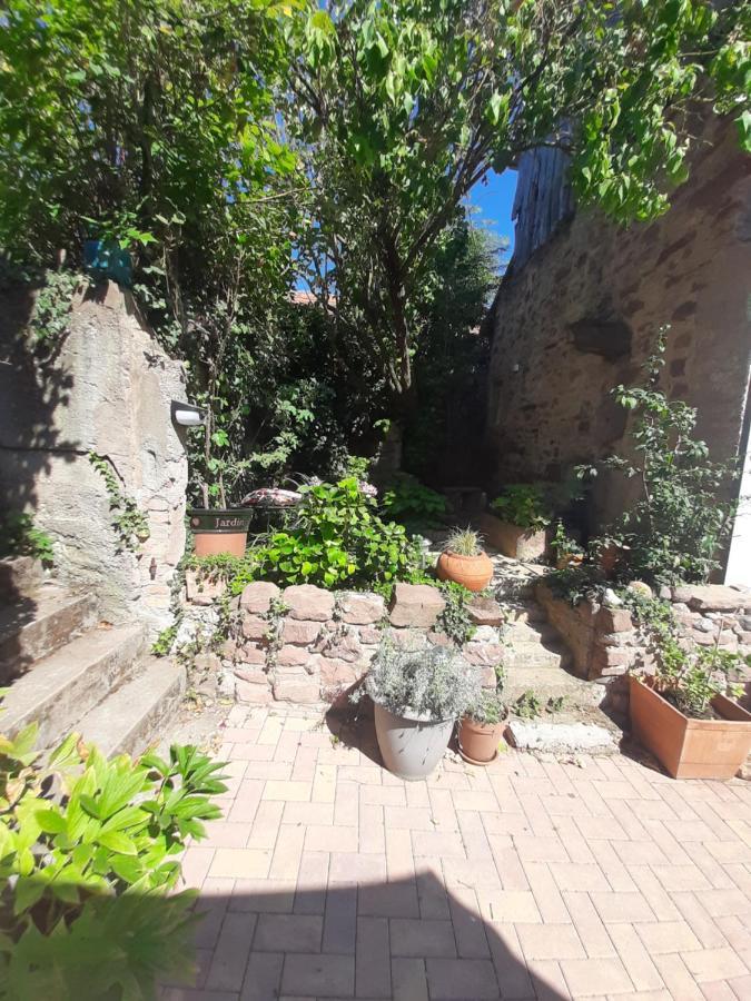 Studio Tout Confort 2 Personnes Au Coeur De L'Alsace Wolxheim Exteriér fotografie