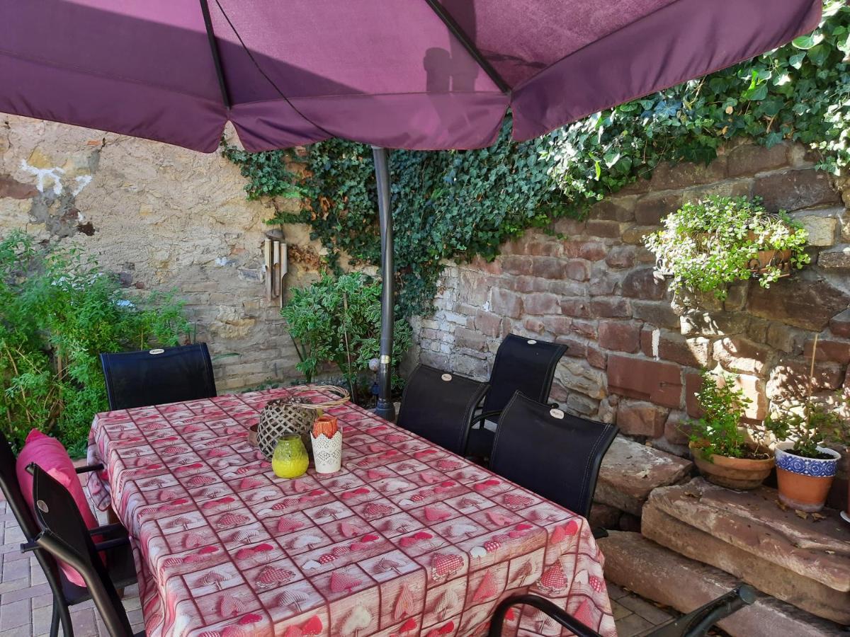 Studio Tout Confort 2 Personnes Au Coeur De L'Alsace Wolxheim Exteriér fotografie