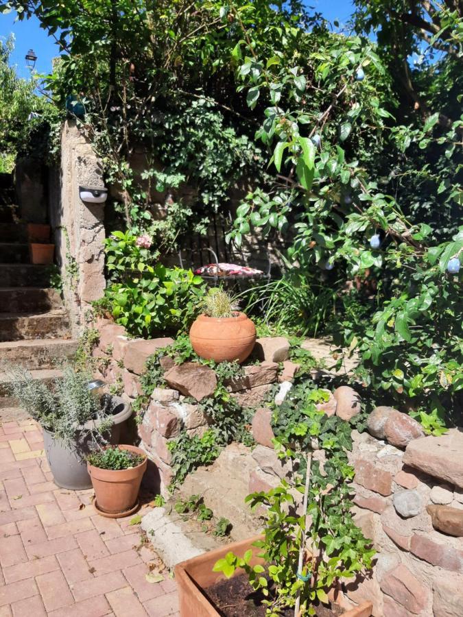 Studio Tout Confort 2 Personnes Au Coeur De L'Alsace Wolxheim Exteriér fotografie