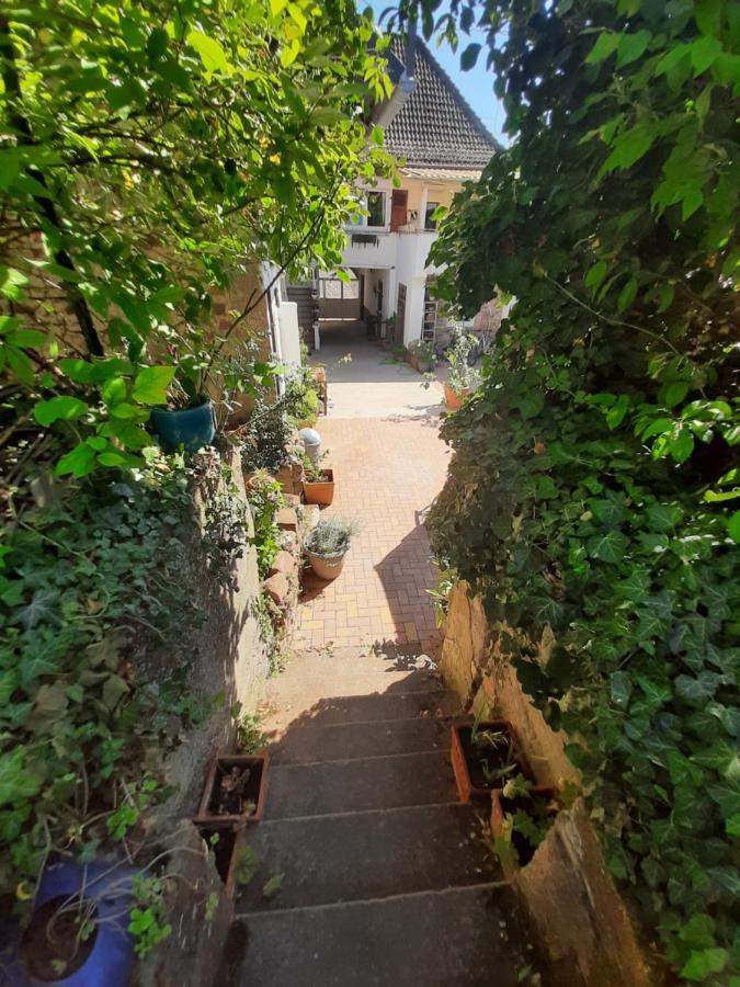 Studio Tout Confort 2 Personnes Au Coeur De L'Alsace Wolxheim Exteriér fotografie