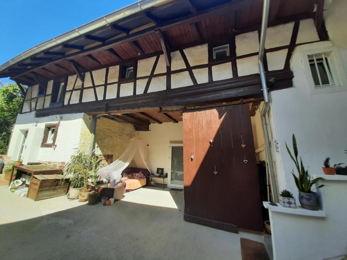 Studio Tout Confort 2 Personnes Au Coeur De L'Alsace Wolxheim Exteriér fotografie