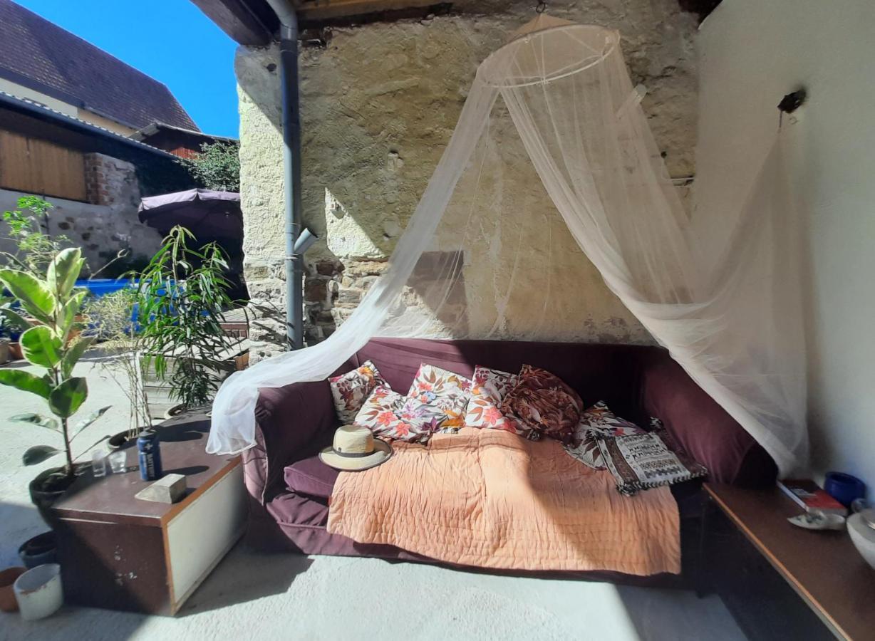 Studio Tout Confort 2 Personnes Au Coeur De L'Alsace Wolxheim Exteriér fotografie