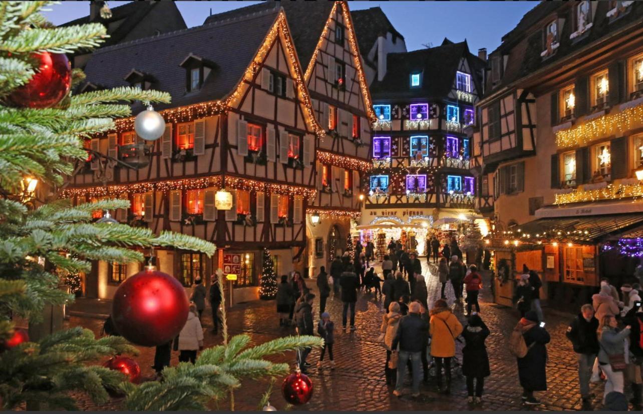 Studio Tout Confort 2 Personnes Au Coeur De L'Alsace Wolxheim Exteriér fotografie
