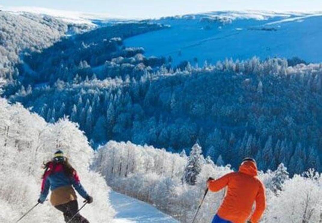 Studio Tout Confort 2 Personnes Au Coeur De L'Alsace Wolxheim Exteriér fotografie
