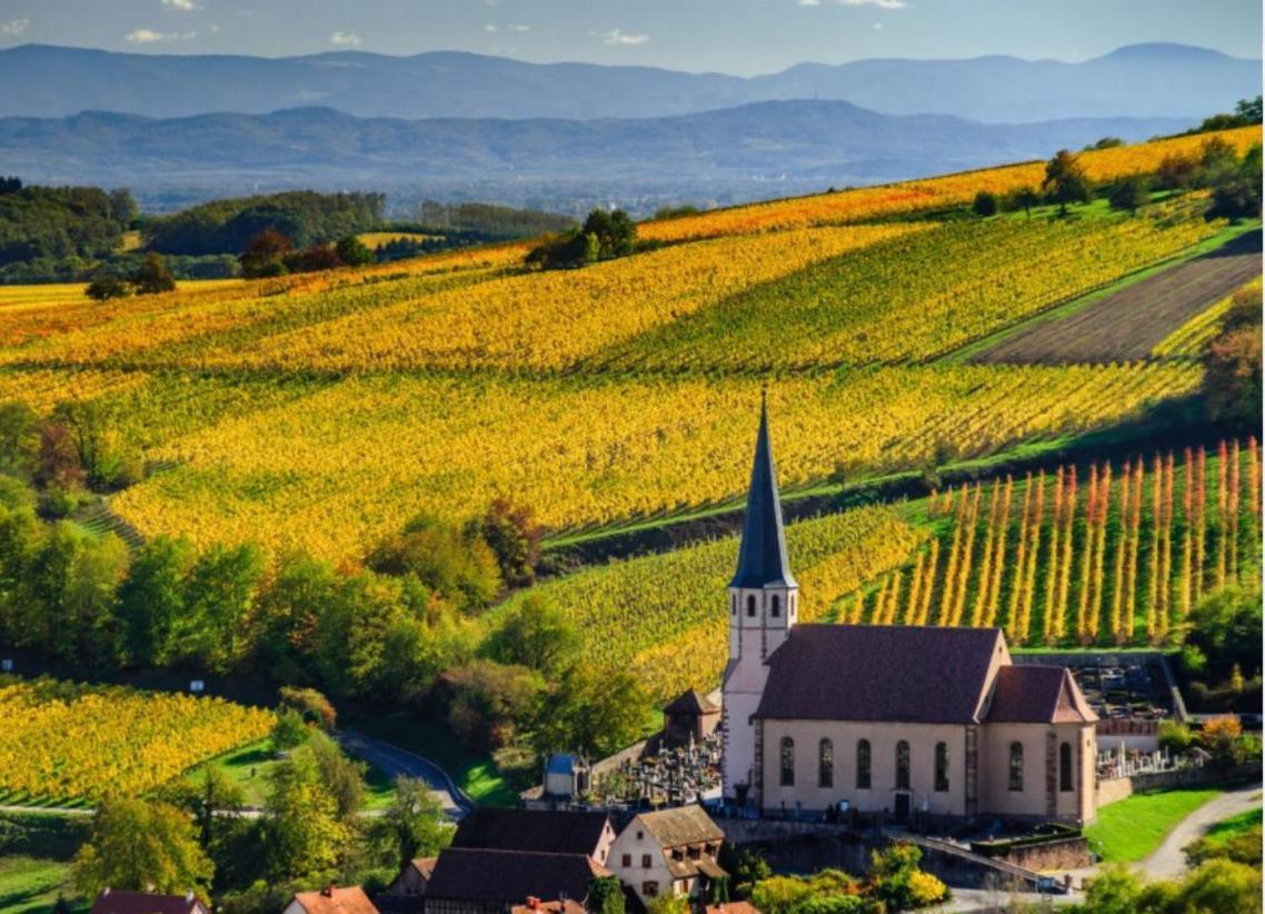 Studio Tout Confort 2 Personnes Au Coeur De L'Alsace Wolxheim Exteriér fotografie
