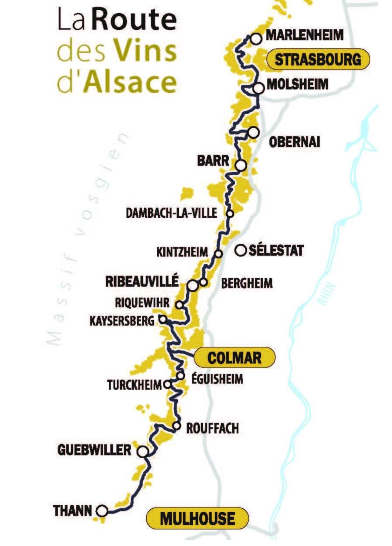 Studio Tout Confort 2 Personnes Au Coeur De L'Alsace Wolxheim Exteriér fotografie