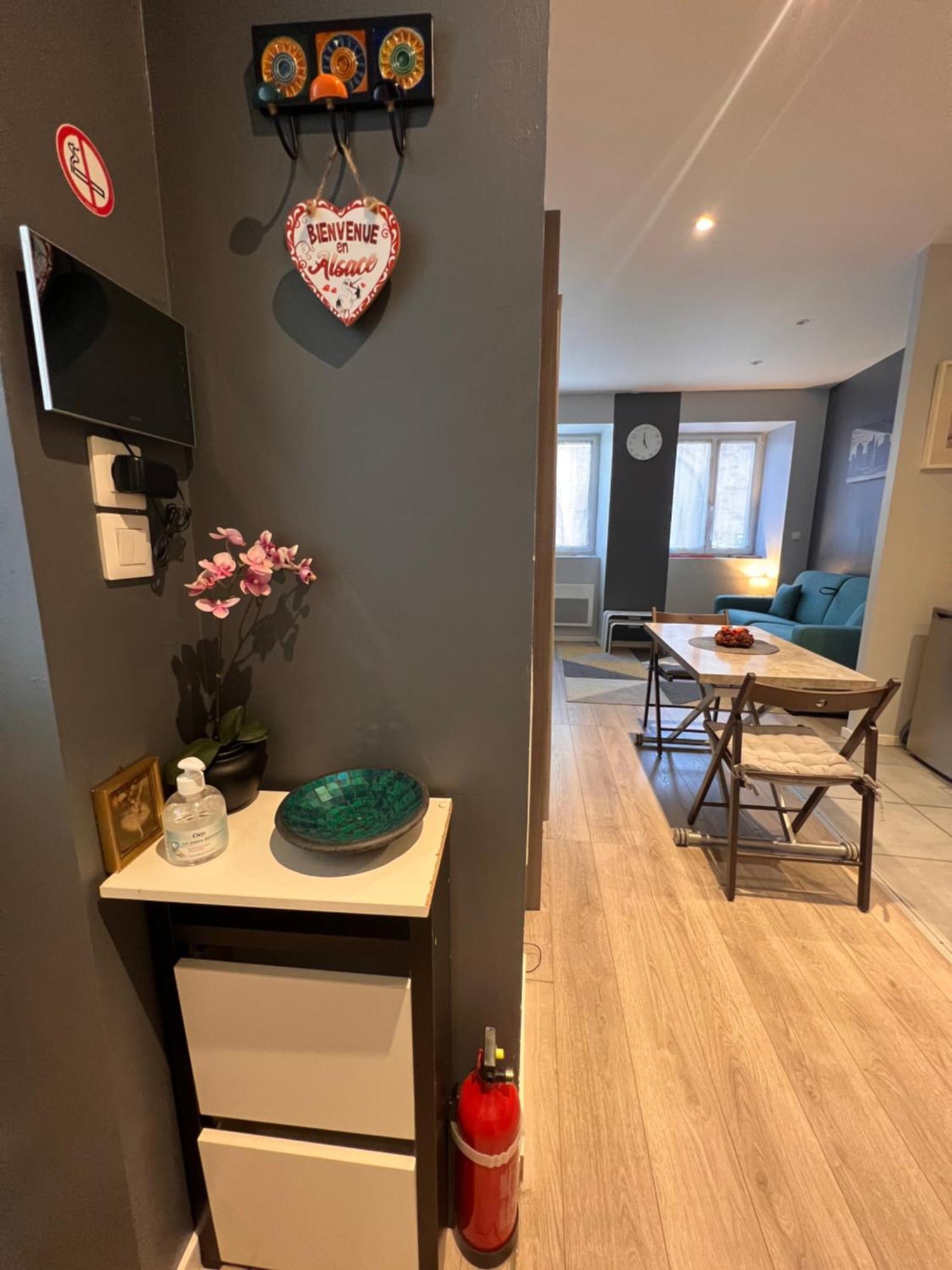 Studio Tout Confort 2 Personnes Au Coeur De L'Alsace Wolxheim Exteriér fotografie