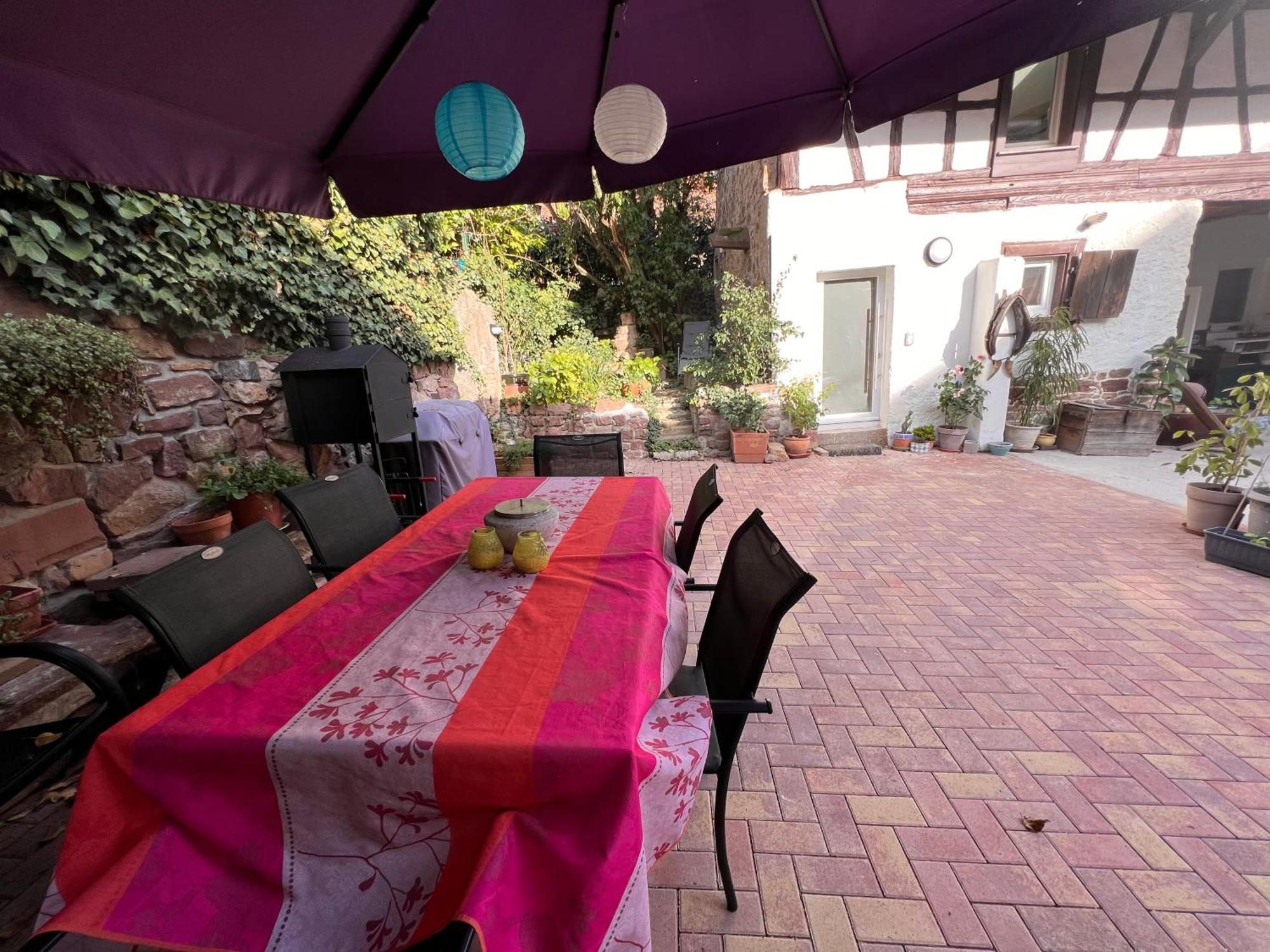 Studio Tout Confort 2 Personnes Au Coeur De L'Alsace Wolxheim Exteriér fotografie