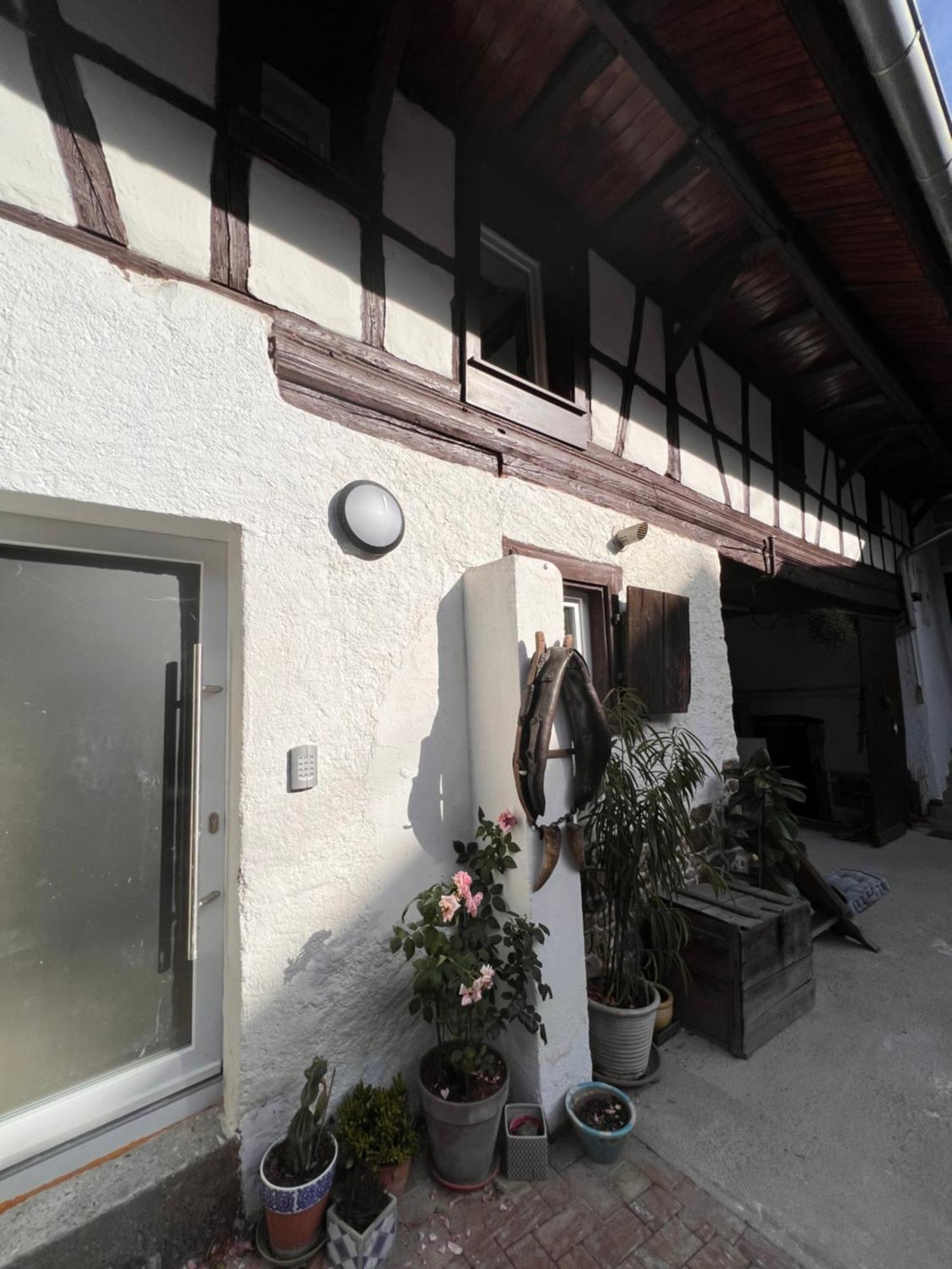 Studio Tout Confort 2 Personnes Au Coeur De L'Alsace Wolxheim Exteriér fotografie