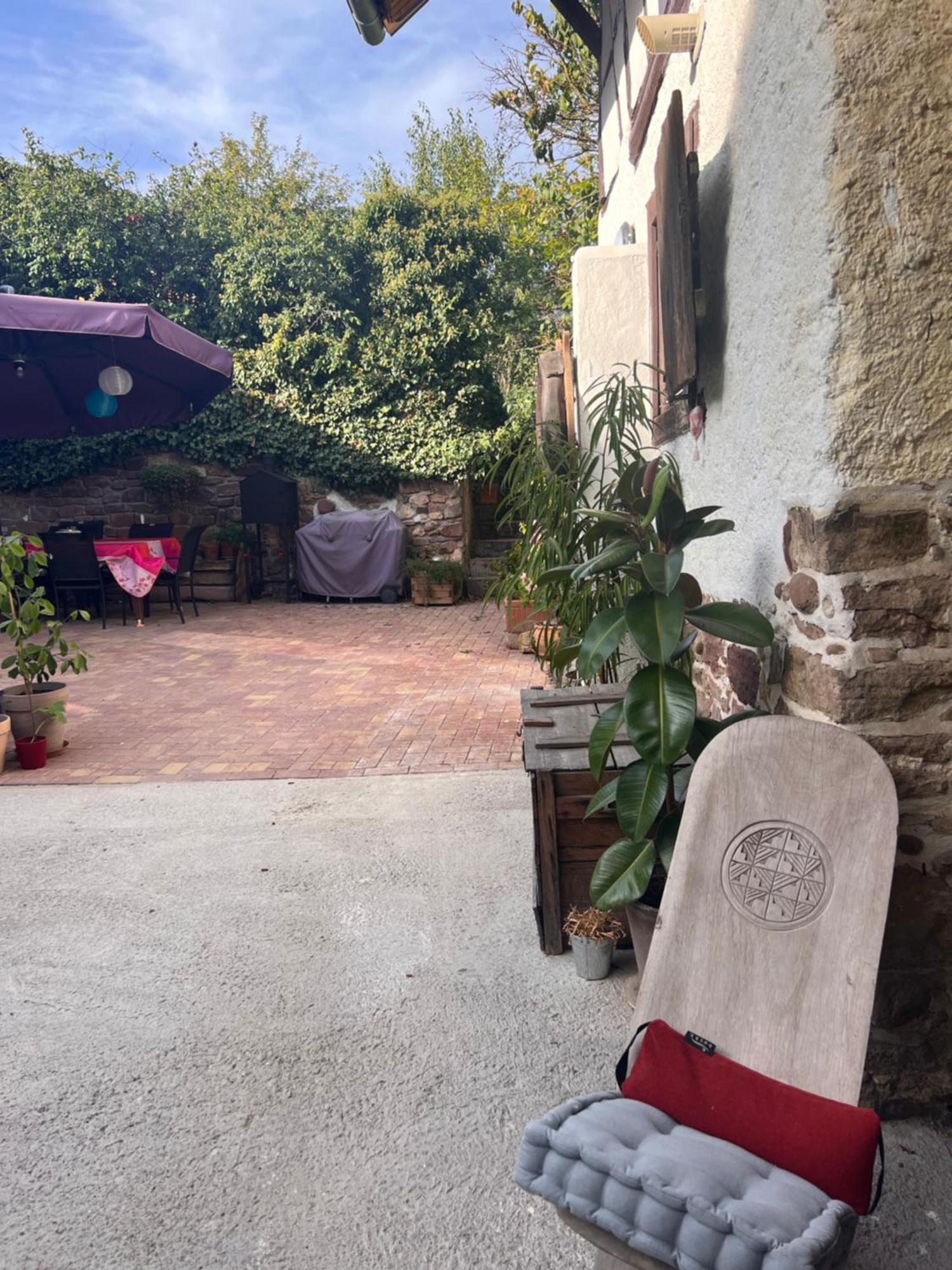 Studio Tout Confort 2 Personnes Au Coeur De L'Alsace Wolxheim Exteriér fotografie