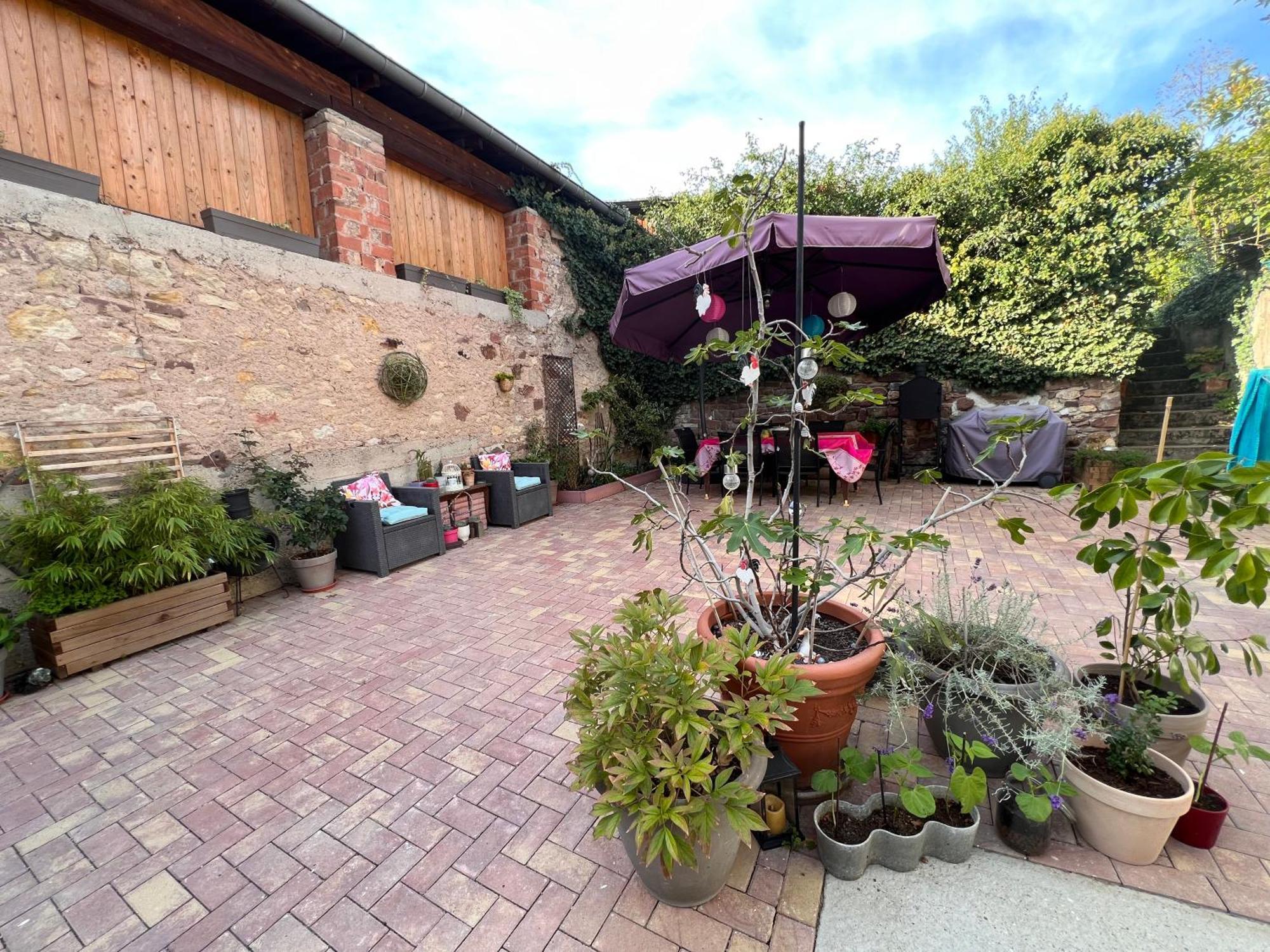Studio Tout Confort 2 Personnes Au Coeur De L'Alsace Wolxheim Exteriér fotografie